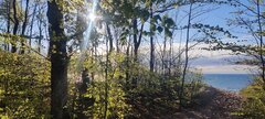 IMG_20250425_181604.jpg