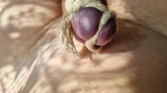 20250426_122829.jpg