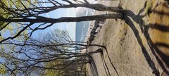 IMG_20250426_171523.jpg