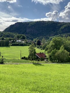 IMG_4364.jpeg