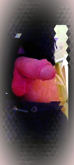 IMG_20250427_013536.jpg