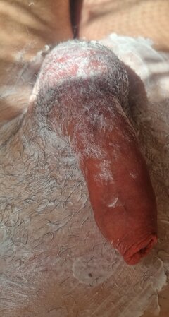 20250427_114434.jpg