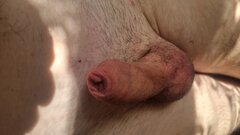 20250427_114031.jpg