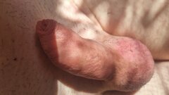 20250427_121153.jpg