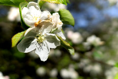 DSC08950.jpg