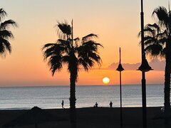 0AB182FA-69CD-4774-8A24-E5846FCF9518.jpeg
