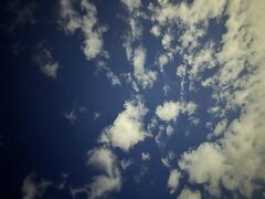 IMG_5547.jpeg