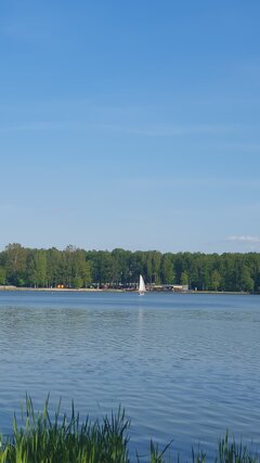 20250430_165932.jpg
