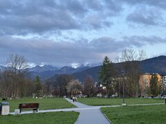 IMG_3568.jpeg