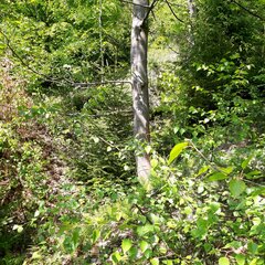 20250501_135518.jpg