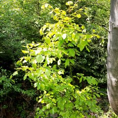 20250501_135512.jpg