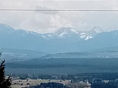 20250423_143353.jpg