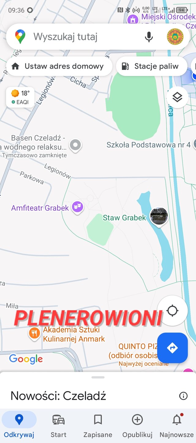 PLENEROWIONI