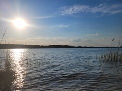 20250502_182628.jpg