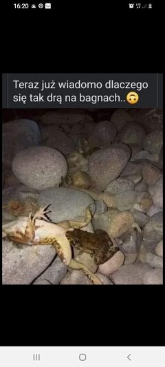 Screenshot_20250502-162030_Facebook.jpg