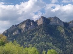 IMG_20250502_171628172.jpg