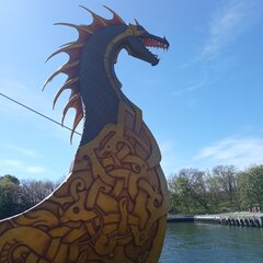 IMG_20250503_143411.jpg