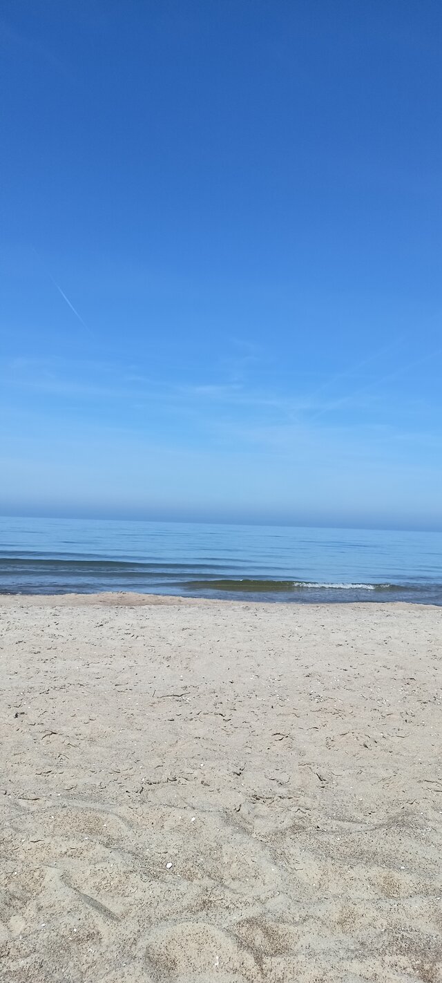 Malzenstwozpaniabi
