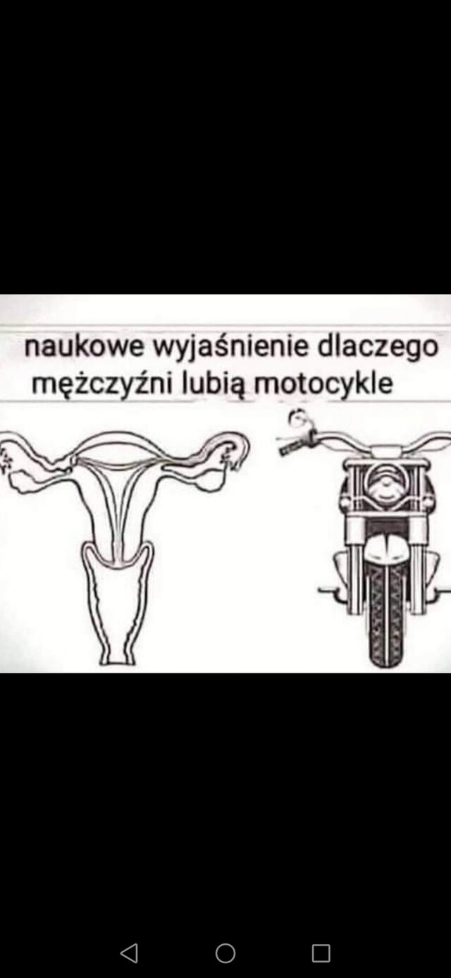 PoznajPawcia