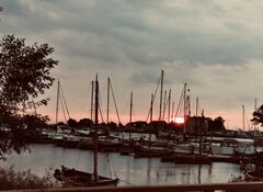 IMG_5598.jpeg
