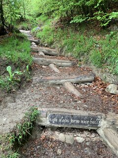 IMG_6363.jpeg