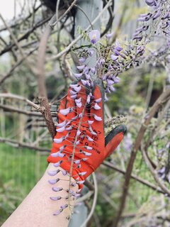 IMG_4451.jpeg