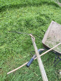 IMG_4453.jpeg