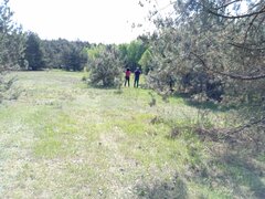 Ładną pogoda