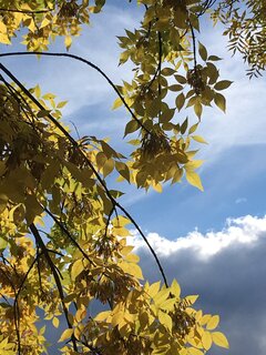 IMG_2676.jpeg