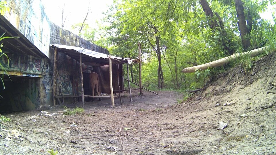 bunkier 20250508_1405.mp4_snapshot_00.15.232.jpg - Krzysztof_cfnm