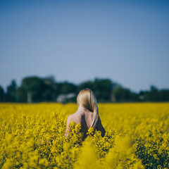 _0006900.jpg
