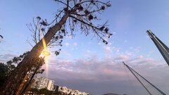 IMG_9729.jpeg