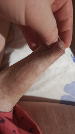 1000001239.jpg