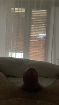 IMG_2356.jpeg