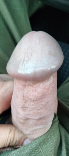 1000033363.jpg