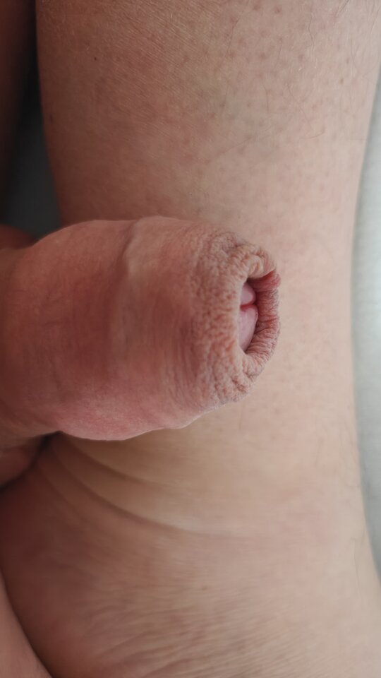 1000001265.jpg - fajnykutasek25