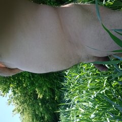 20250511_130531.jpg