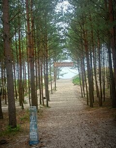 IMG_20250516_174818.jpg
