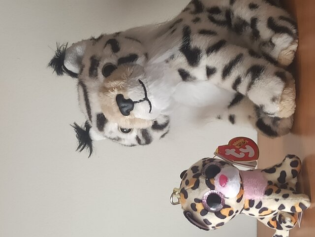 dojrzalamamcia60