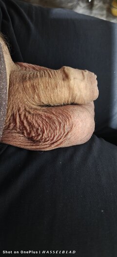 1000014040.jpg