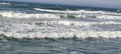 IMG_20250518_170957.jpg