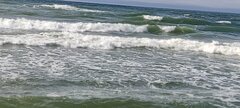 IMG_20250528_171061.jpg