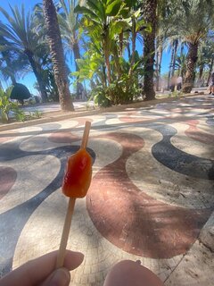 IMG_4766.jpeg