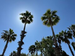 IMG_1466.jpeg