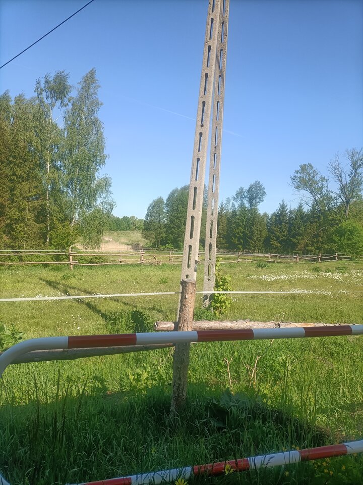 1000013239.jpg - Sympatyczny33xx