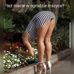 Ogród