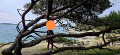 20250520_171220.jpg