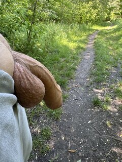 IMG_0906.jpeg
