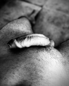 IMG_0610.jpeg