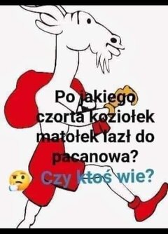 FB_IMG_1698103736694.jpg